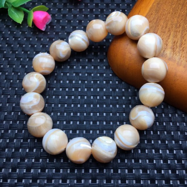 Horseshoe shell single loop bracelet