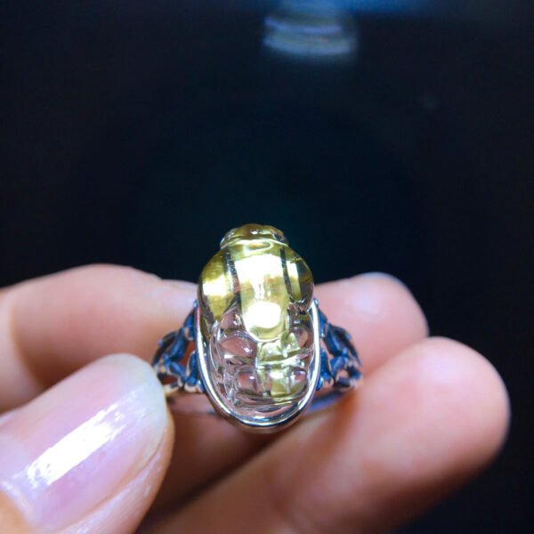 Pure natural titanium crystal pixiu ring for men and women, size: 16/10.4mm2710278348