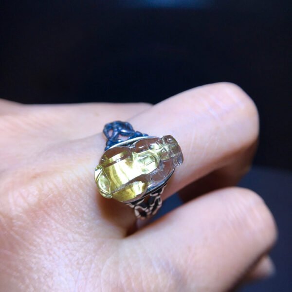 Pure natural titanium crystal pixiu ring for men and women, size: 16/10.4mm2710278348