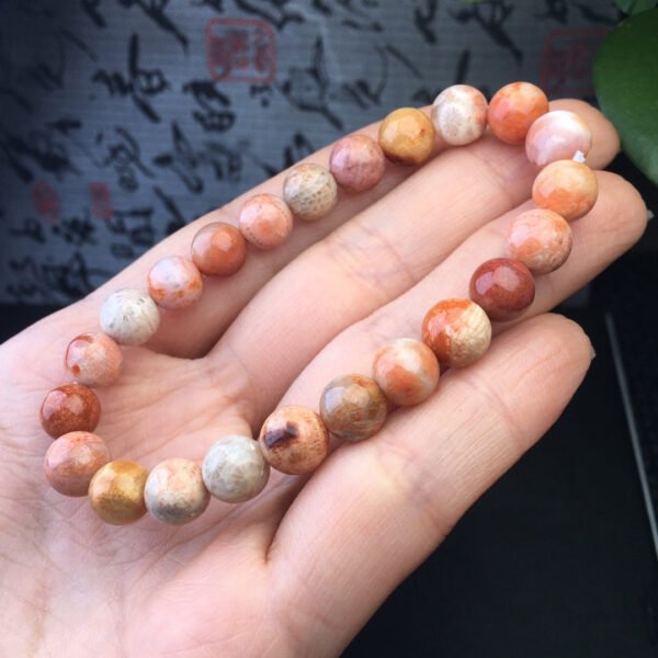 Coral Jade Single Loop Bracelet 💕 Specification 8mm ✨1110009133