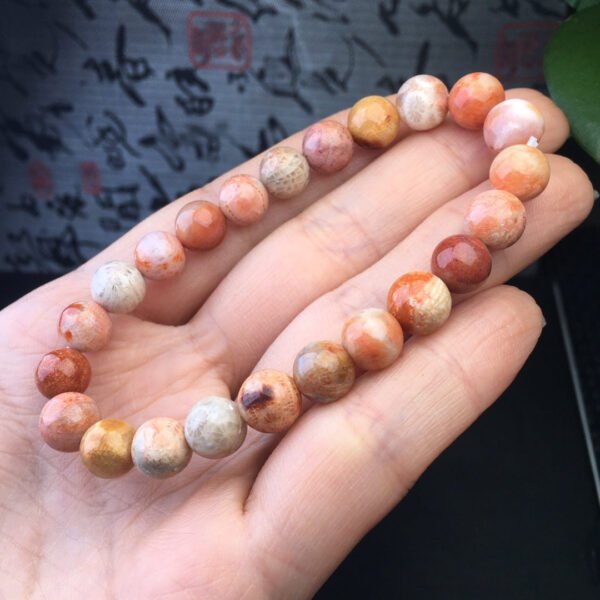 Coral Jade Single Loop Bracelet 💕 Specification 8mm ✨1110009133