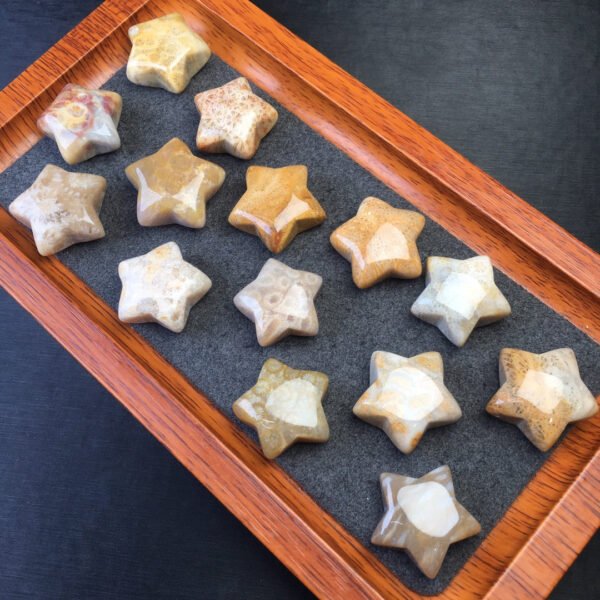 Coral jade pentagram 💕 Specification 25mm1111005136